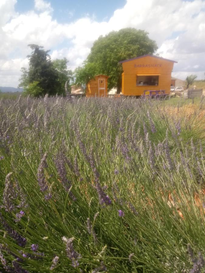Chambre A La Ferme Au Milieu Des Lavandes Valensole Kültér fotó