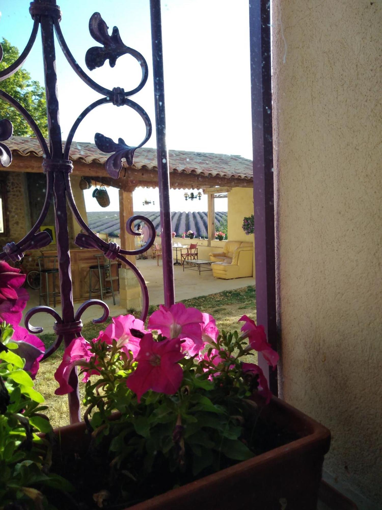 Chambre A La Ferme Au Milieu Des Lavandes Valensole Kültér fotó
